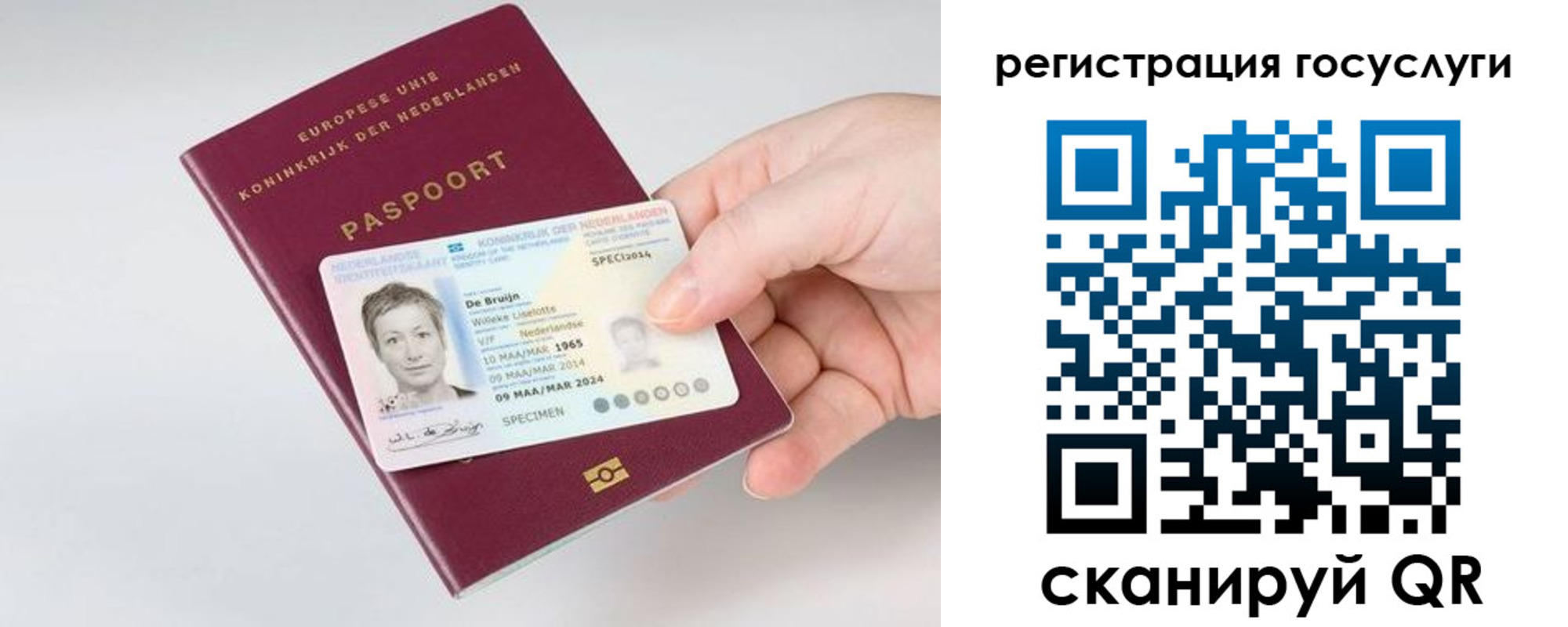 регистрация для дет. сада в Сальске